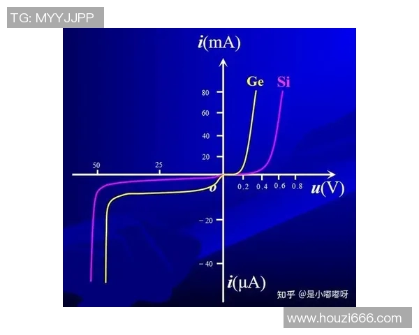 南京排球队的整体压制解析与战术深度探讨