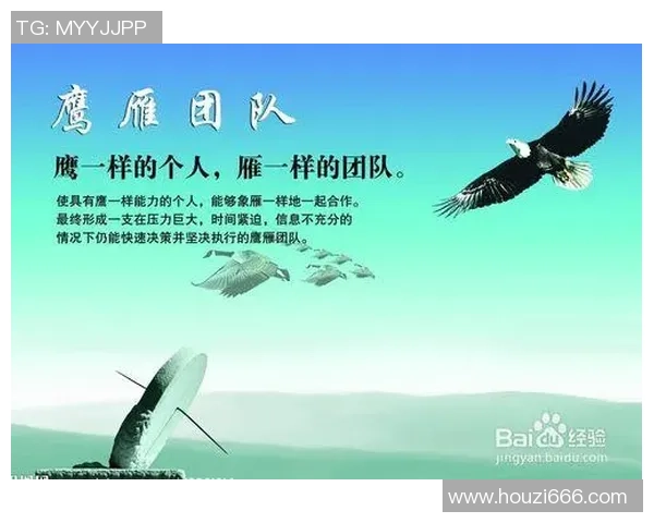 深圳排球队技术探讨:提升团队协作与个人技能的关键策略 深圳排球队技术探讨:提升团队协作与个人技能的关键策略