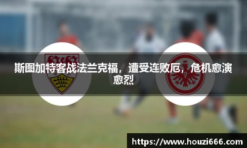 HB火博体育官网