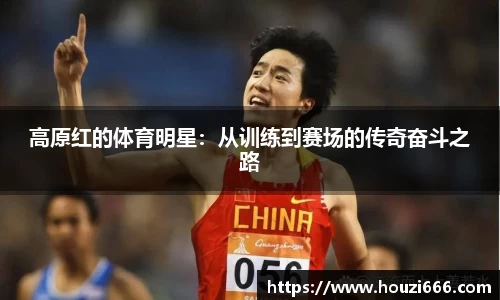 HB火博体育官方网站