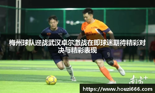 HB火博体育官方app