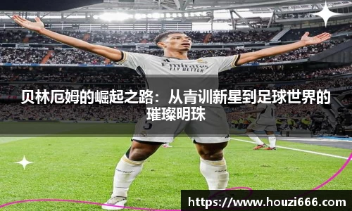 HB火博体育官网
