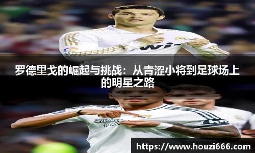 HB火博体育官方网站