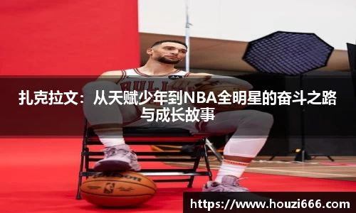 HB火博体育官方网站