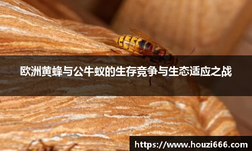 HB火博体育官网